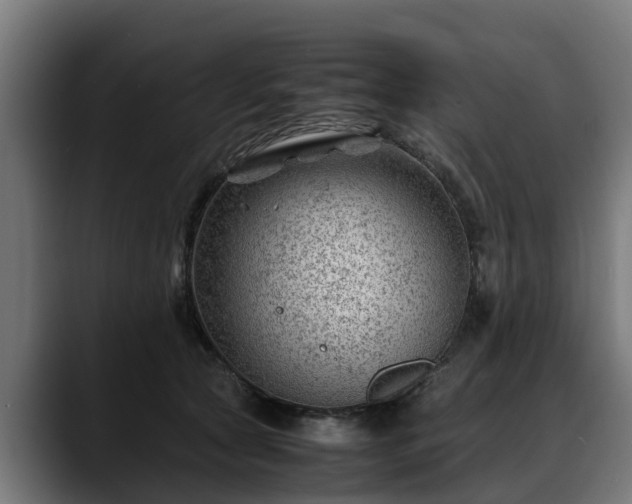 X0000088460561200705291532