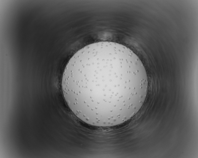 X0000088460569200705291532