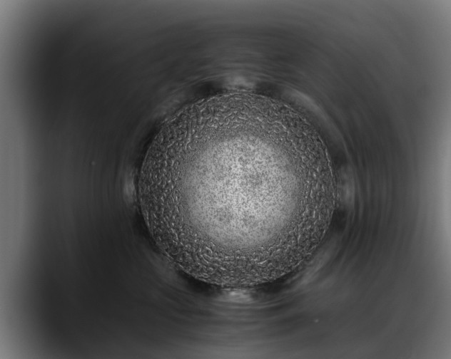 X0000088460573200705291532