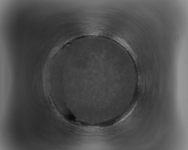 X0000088460577200705291532