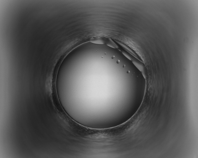 X0000088460578200705291532