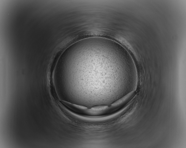 X0000088460581200705291532