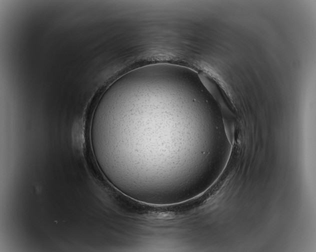 X0000088460582200705291532