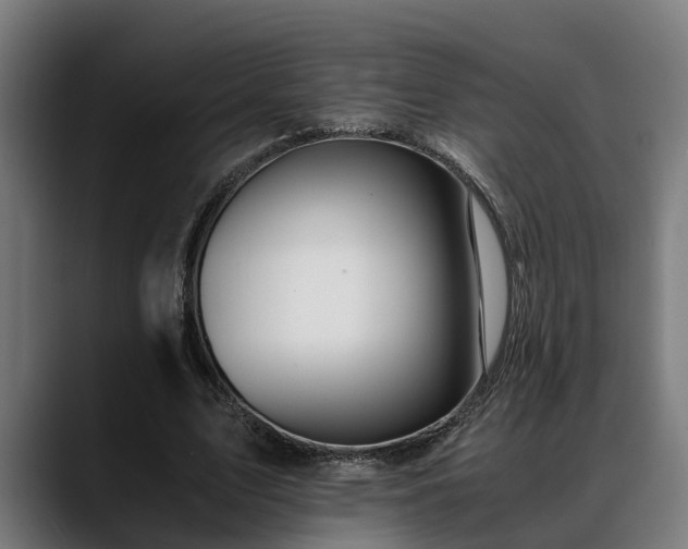 X0000088460583200705291532