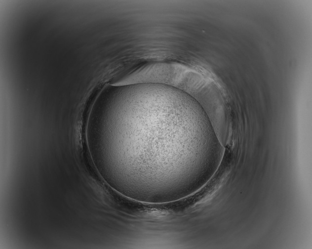 X0000088460585200705291532