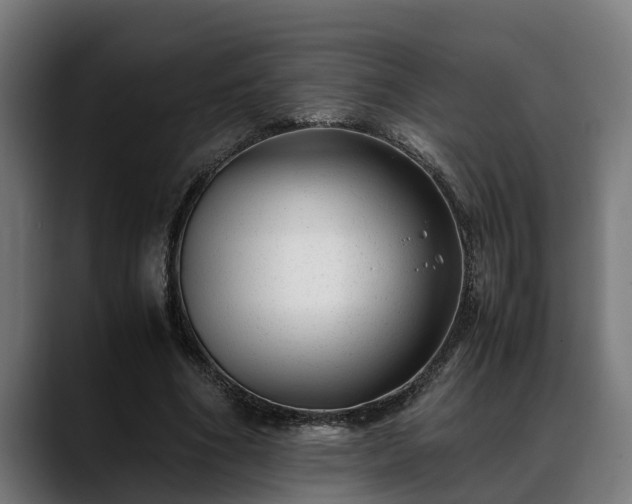 X0000088460586200705291532