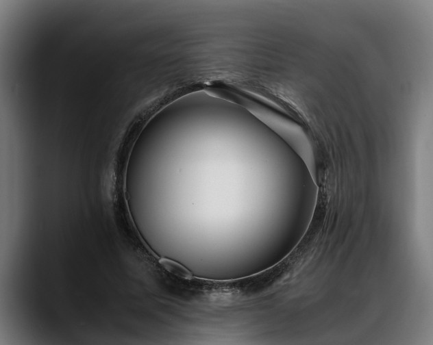 X0000088460587200705291532