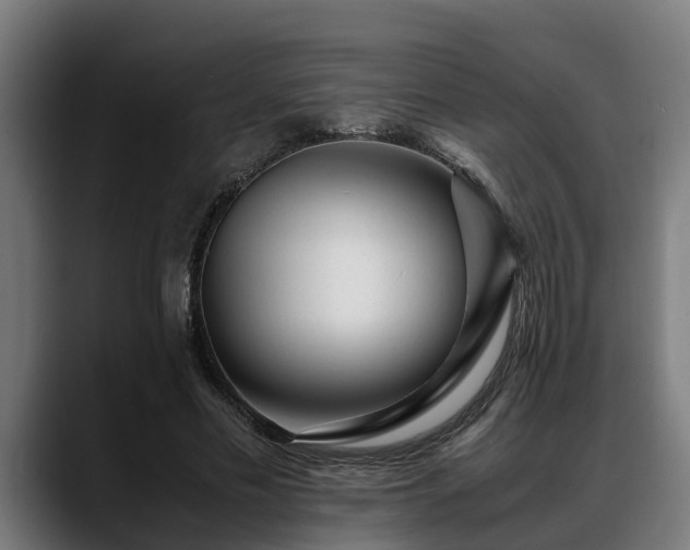 X0000088460589200705291532