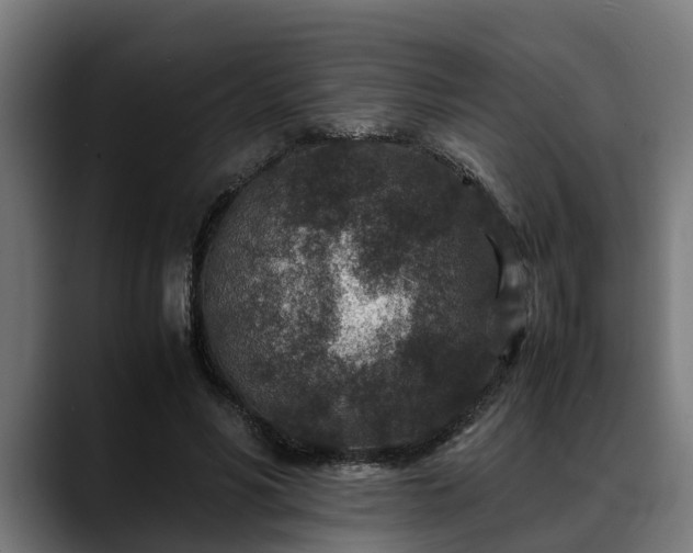 X0000088460590200705291532