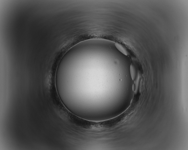 X0000088460591200705291532