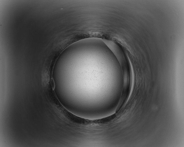 X0000088460593200705291532