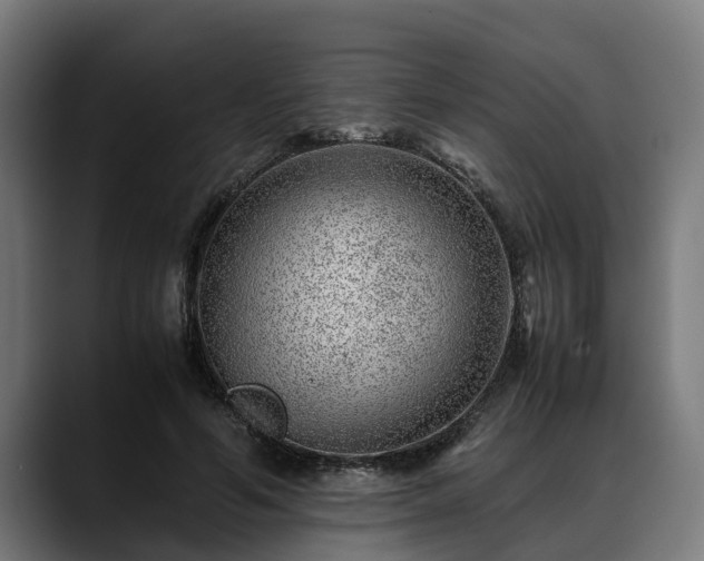 X0000088460594200705291532