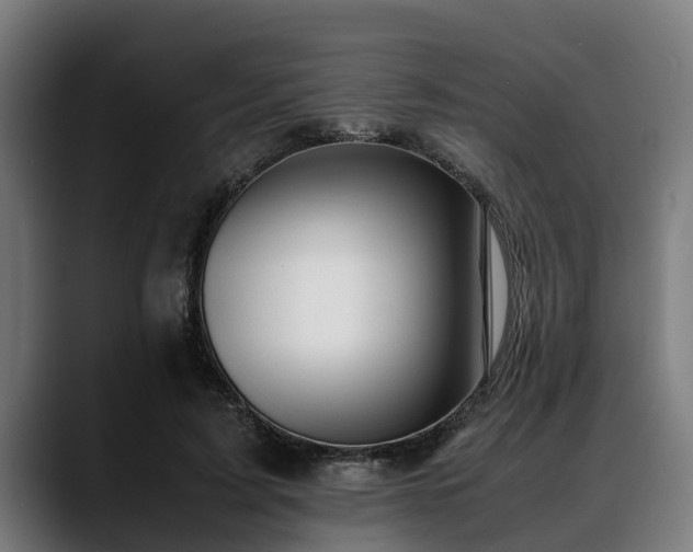 X0000088460595200705291532