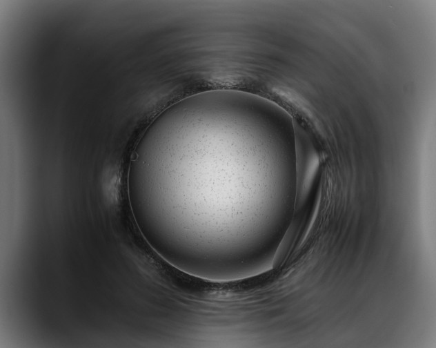 X0000088460596200705291532