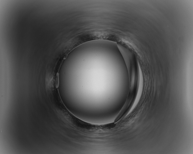 X0000088460597200705291532