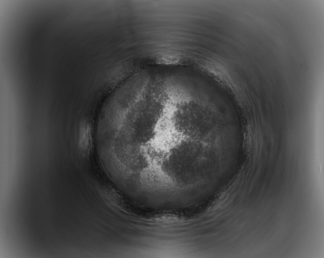 X0000088460598200705291532