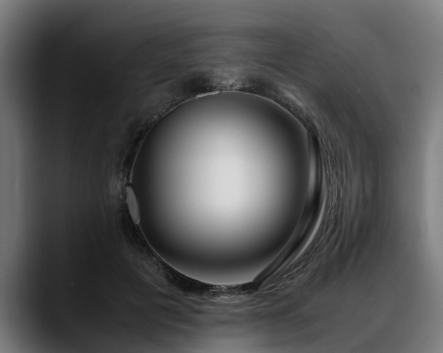 X0000088460601200705291532