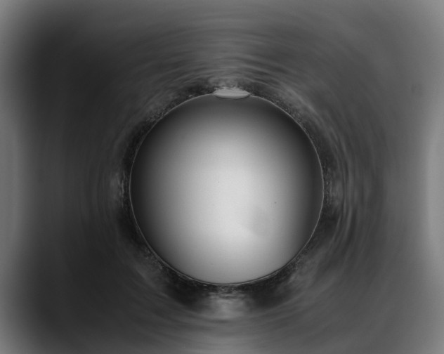 X0000088460603200705291532