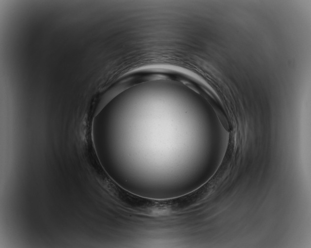 X0000088460604200705291532