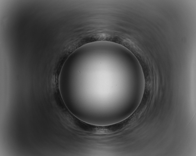 X0000088460605200705291532