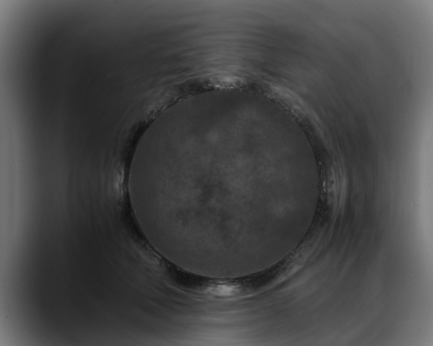 X0000088460610200705291532