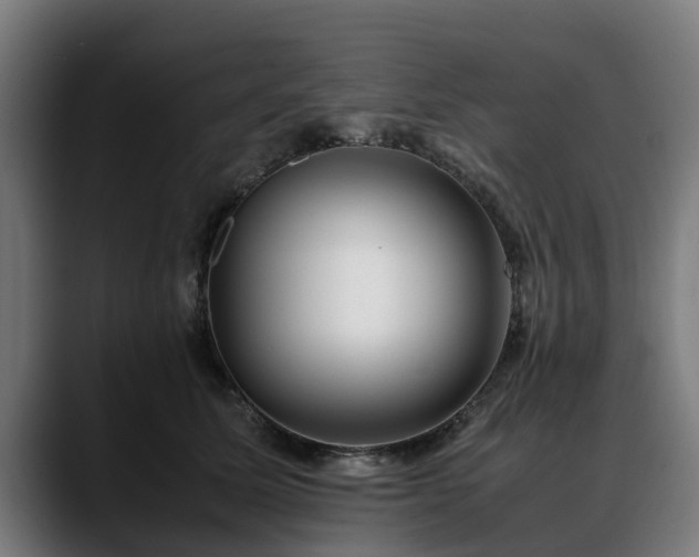 X0000088460611200705291532