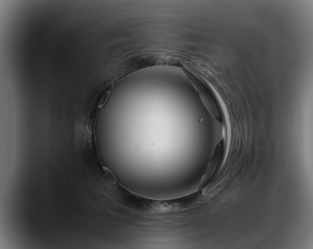 X0000088460613200705291532