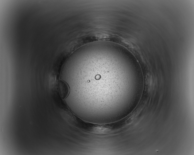 X0000088460614200705291532