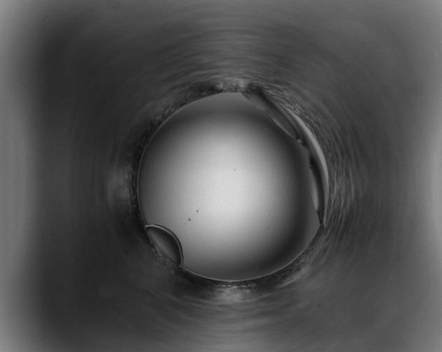 X0000088460616200705291531