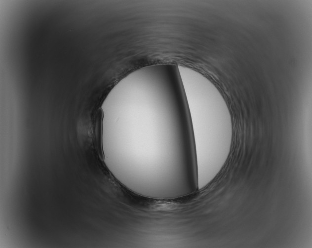 X0000088460617200705291531