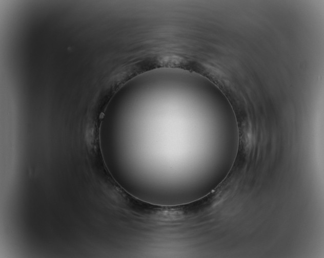 X0000088460619200705291531