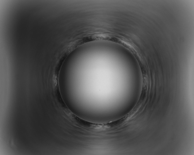 X0000088460621200705291531