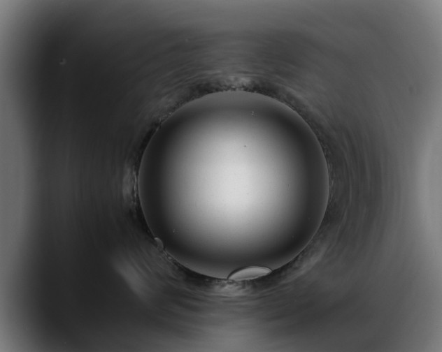 X0000088460624200705291531