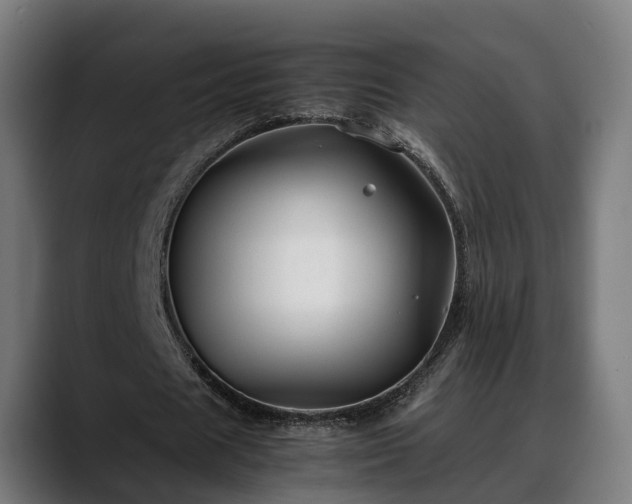 X0000088460625200705291531