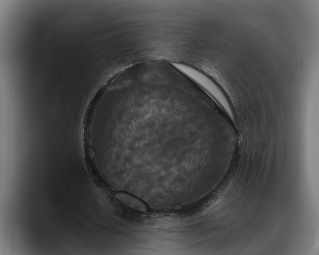 X0000088460626200705291531