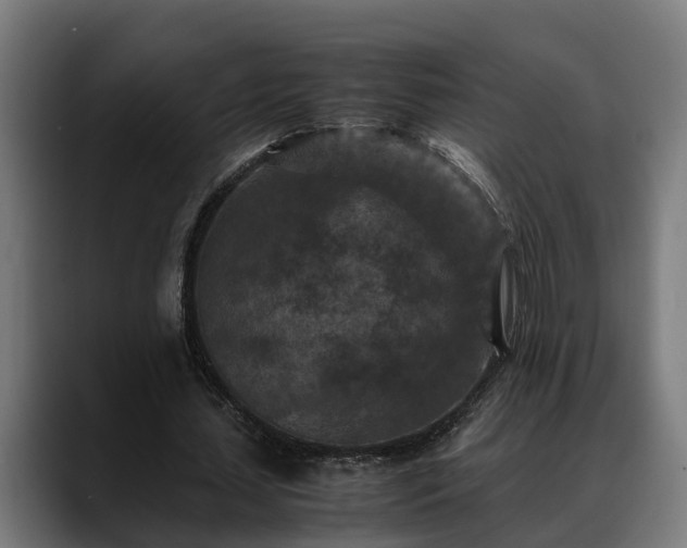 X0000088460627200705291531