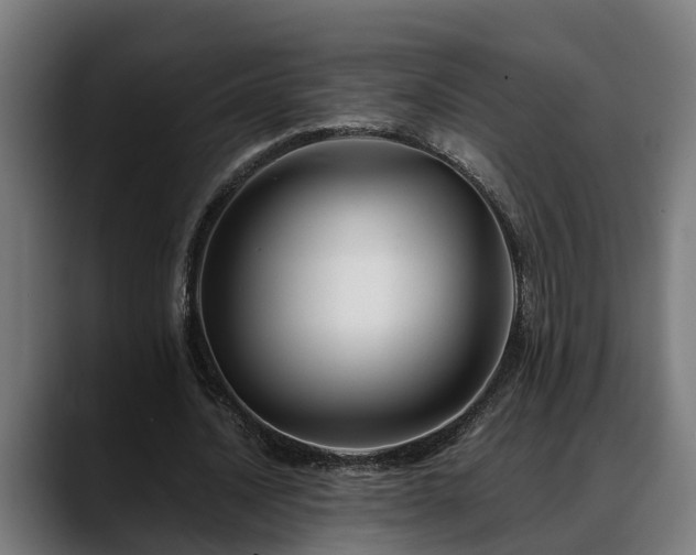 X0000088460628200705291531