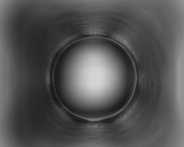 X0000088460629200705291531