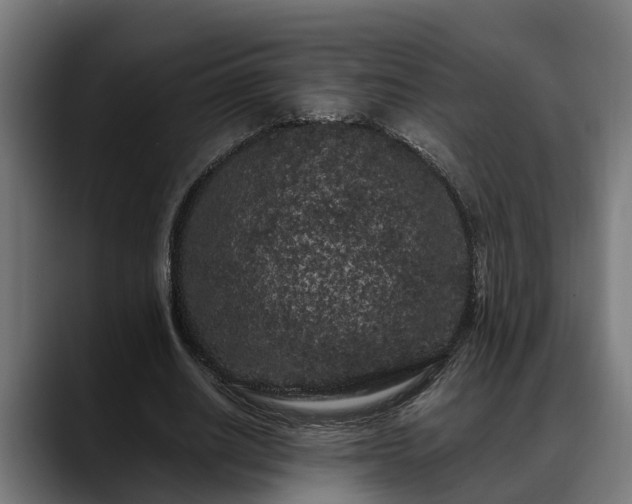 X0000088460630200705291531