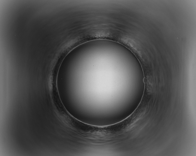 X0000088460631200705291531