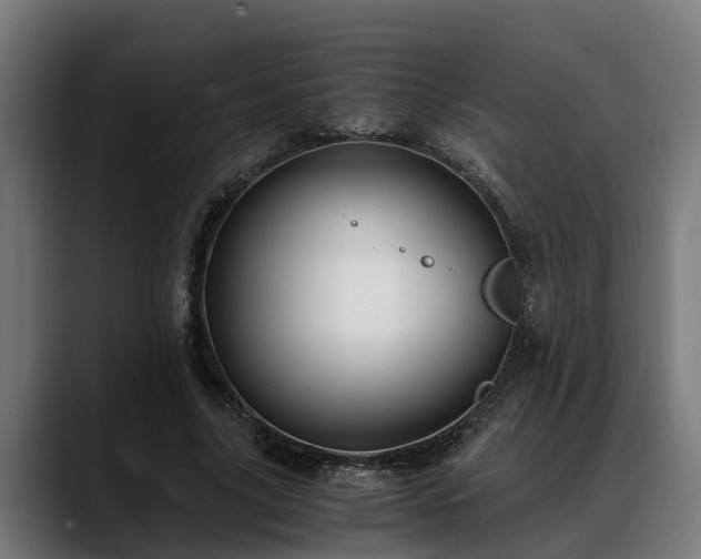 X0000088460635200705291531