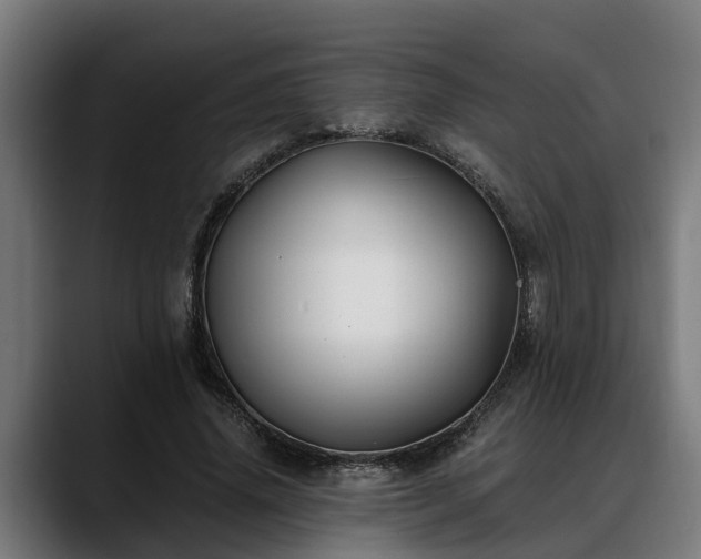 X0000088460636200705291531