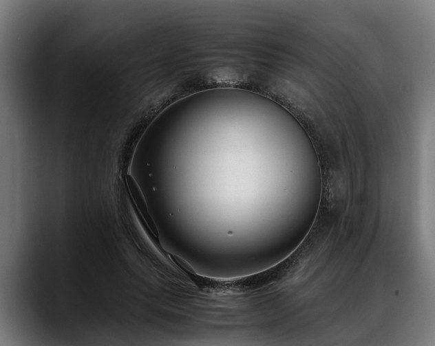 X0000088460639200705291531