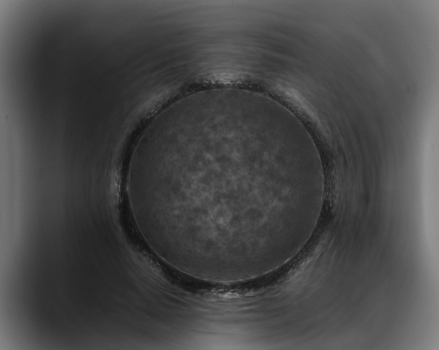 X0000088460640200705291531