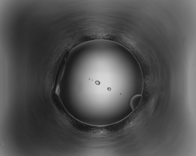 X0000088460642200705291531