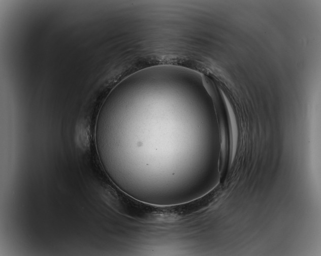 X0000088460644200705291531