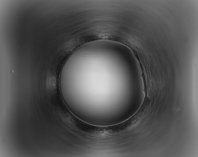 X0000088460646200705291531