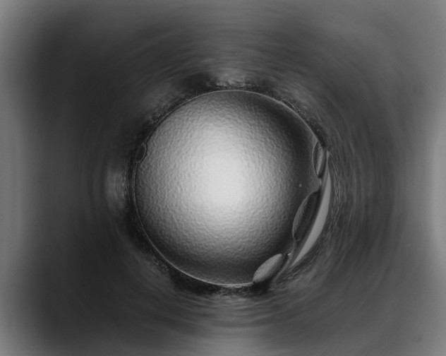 X0000088460648200705291531