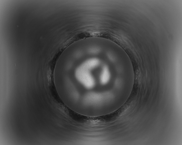 X0000088460650200705291531