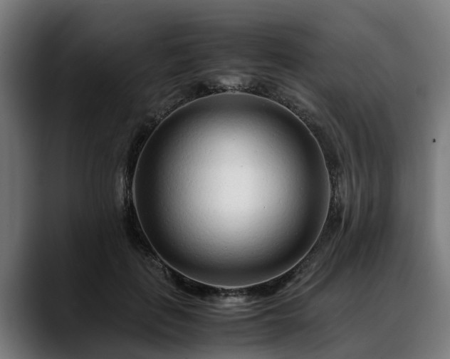 X0000088460651200705291531